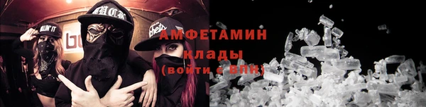 прущие грибы Куйбышев