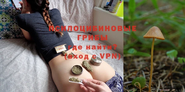 прущие грибы Куйбышев