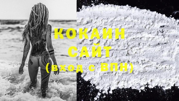 прущие грибы Куйбышев