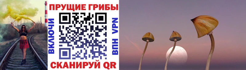 Галлюциногенные грибы GOLDEN TEACHER Коммунар